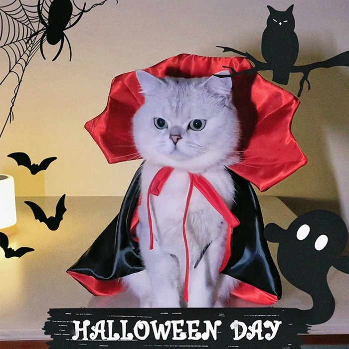 ハロウィン 猫 猫服 犬服 吸血鬼 ヴァンパイアマント マジックマント ペット服 小中型 かわいい おしゃれ ねこ ウエア キャットウエア ハロウィンコスプレ